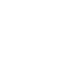 Budget