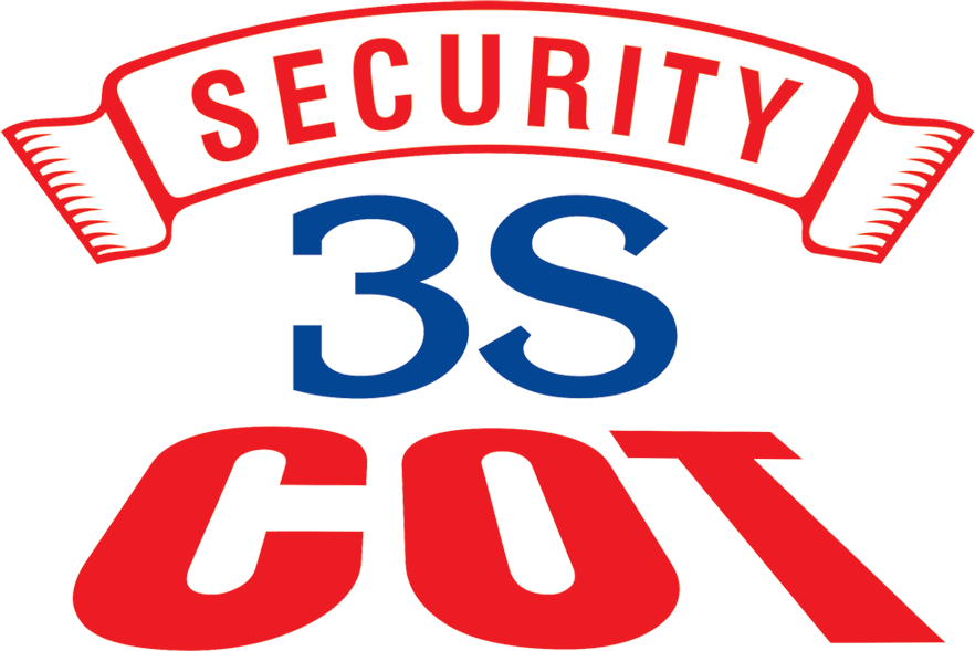 3S СОТ